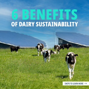6 Benefits of Dairy Sustainability