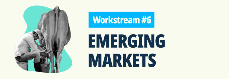 Workstream #6: Emerging Markets