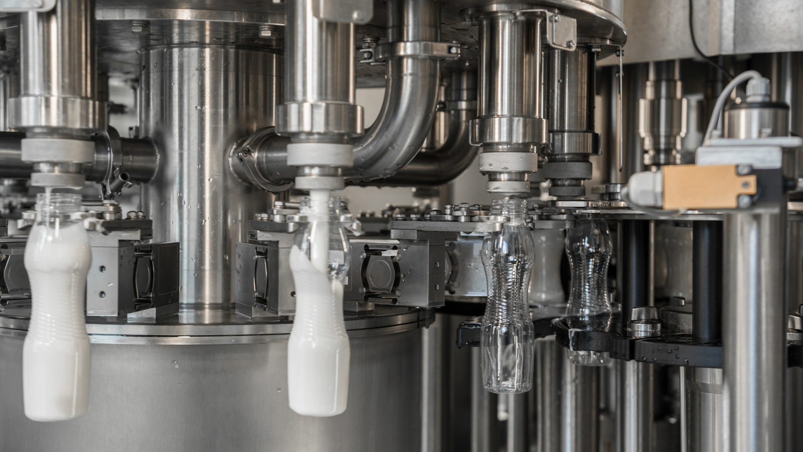 Pathways To Progress Pathways To Dairy Net Zero June 2024 