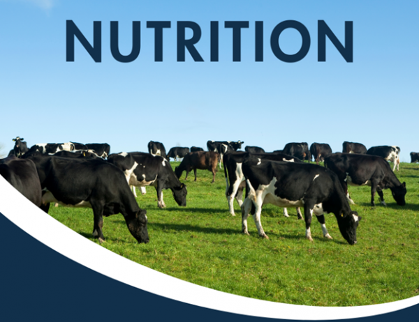 Nutrition image with cows
